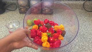 The Best Trinidad Scorpion Pepper Sauce RECIPE [upl. by Carole788]