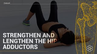 Exercises to STRENGTHEN amp LENGTHEN the Hip Adductors [upl. by Ynitsed]