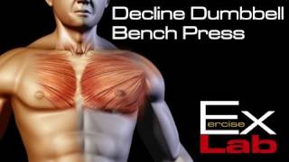 Decline Bench Press  Chest Exercises [upl. by Johannessen104]