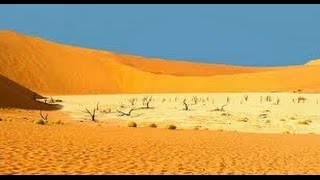 Desert Documentary HD  Kalahari Desert Wildlife Documentary [upl. by Eirrotal643]