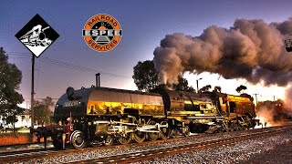 BeyerGarratt Steam Locomotive In The Early Morning Australian Trains [upl. by Fullerton]