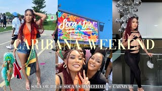 TORONTO CARIBANA VLOG 2024 🔥🔥 [upl. by Eenyaj798]