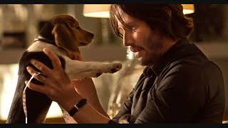 Your Obligatory Movie Podcast  Ep 8  JOHN WICK 2014 [upl. by Sirmons]