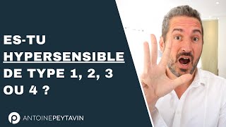 Les 4 types d’HyperSensibles [upl. by Zitah678]