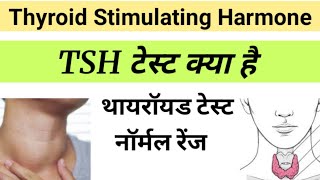 TSH Test in Hindi  Thyroid Stimulating Harmone  tsh report in hindi [upl. by Ayanet805]