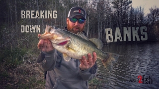 Tested Bank Fishing Tips for Catching Bass [upl. by Reffotsirk]