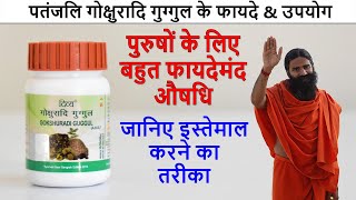 Patanjali Divya Gokshuradi Guggul Tablets Benefits amp Review in Hindi  फायदे और उपयोग [upl. by Laurens800]