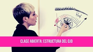 CLASE DE MAQUILLAJE PROFESIONAL ESTRUCTURA DEL OJO  TUMAKEUP [upl. by Lubeck]