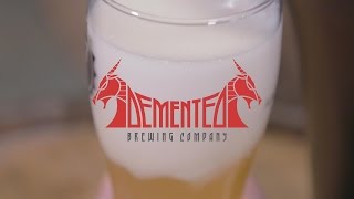 Fizzics Brewers Spotlight  Demented Brewing Company [upl. by Parlin]