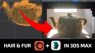 Creating hair and fur 3ds Max  Corona [upl. by Rebmac]