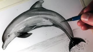 How to Draw a Dolphin [upl. by Oemac]