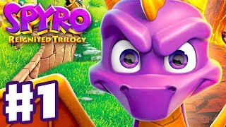 Spyro Reignited Trilogy  Spyro The Dragon  Gameplay Walkthrough Part 1  Artisans 120 [upl. by Idnam]