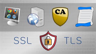 Key Players of SSL amp TLS Client Server Certificate Authority CA  Practical TLS [upl. by Aisha915]