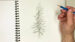 Drawing a Pine Tree  full tutorial [upl. by Namor]