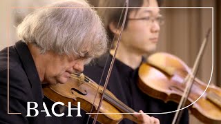 Bach  Cantata Die Elenden sollen essen BWV 75  Kuijken  Netherlands Bach Society [upl. by Traggat873]