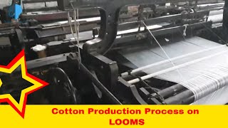 Cotton Fabric Manufacturing Process  Warp and Weft  Cotton Production  Looms Weaving Process [upl. by Walter]