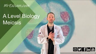 Meiosis and chromosome mutation  A Level Biology [upl. by Agatha]