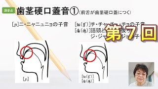 第7回 日本語教育能力検定試験対策「調音点 」 [upl. by Klara]