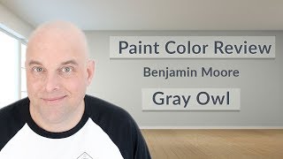 Benjamin Moore Gray Owl Color Review [upl. by Anila618]