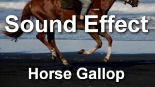 Horse Gallop Sound Effect YouTube [upl. by Lebanna]