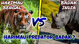 HARIMAU VS BADAK  Mampukah Harimau Mengalahkan Badak [upl. by Aneladgam572]