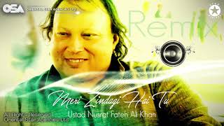 Meri Zindagi Hai Tu Remix  Nusrat Fateh Ali Khan  official HD video  OSA Worldwide [upl. by Ytsud601]