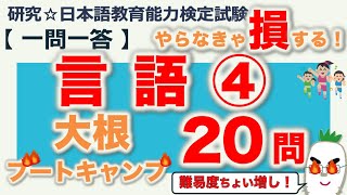 【一問一答・言語④】日本語教育能力検定試験まとめ [upl. by Nial]