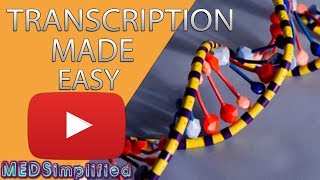 Transcription Made Easy From DNA to RNA 2019 [upl. by Ahsinyd]