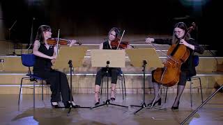 A Borodin String Trio in G minor [upl. by Erina]