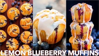 Easy Lemon Blueberry Muffins Recipe [upl. by Esenwahs]