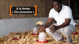 Burkina Faso  A la ferme « Dix poussins » [upl. by Yerffoej]