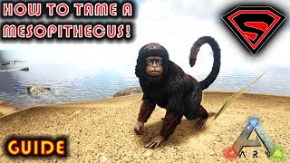 ARK HOW TO TAME A MESOPITHECUS  EVERYTHING YOU NEED TO KNOW ABOUT TAMING A MESOPITHECUS [upl. by Newman938]