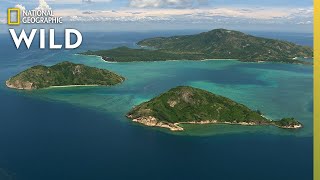 How the Great Barrier Reef Formed  Great Barrier Reef [upl. by Cahra]