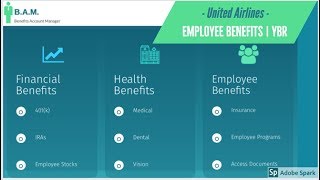 United Airlines Benefits  Your Benefits Resources YBR  Login  Register [upl. by Meerek]