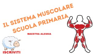 I muscoli scuola primaria [upl. by Mitran987]