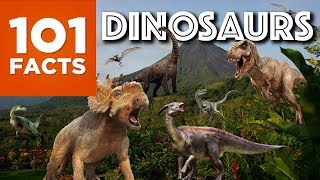 101 Facts About Dinosaurs [upl. by Reichel]