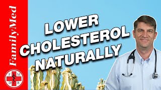 High Cholesterol  What All Patients Need to Know [upl. by Casilda838]