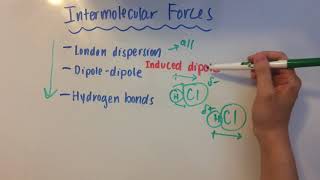 Intermolecular Forces [upl. by Emee]