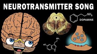 THE NEUROTRANSMITTER SONG [upl. by Trellas66]