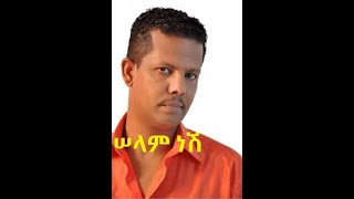 Geremew Asefa Selam Nesh Ethiopian Music [upl. by Attecnoc]