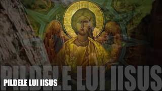 PILDELE LUI IISUS Pilde Crestine [upl. by Eiramik523]