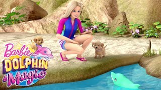 The Gemstone Dolphin  Dolphin Magic  Barbie [upl. by Rehttam54]