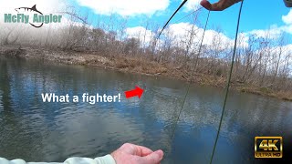 Texas trout Really  McFly Angler Fly Fishing Episode 94 [upl. by Pressman674]