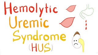 Hemolytic Uremic Syndrome HUS [upl. by Enahc]