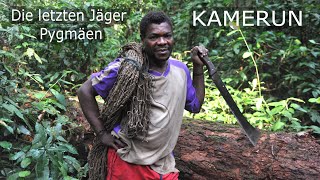 Die letzten Jäger  Pygmäen in Kamerun  2013  KAMERUNCameroon [upl. by Ialocin]