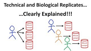 The Difference Between Technical and Biological Replicates [upl. by Dupaix626]