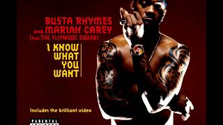 Busta Rhymes  I Know What You Want Instrumental [upl. by Aidnyc]