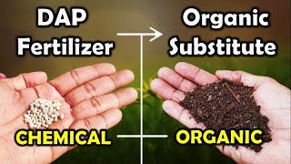 What is dap fertilizer DAP [upl. by Ecadnak]