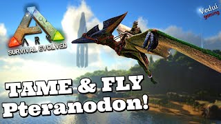 ARK  EASY steps to Tame and Fly the Pteranodon  TIPS Vedui42 ✔️ [upl. by Tolman70]