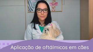 Medicamentos oftálmicos como aplicar no seu cachorro [upl. by Euphemiah262]